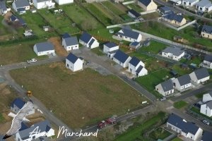 P1660176 2024 03 11 Rue Des Rossignols, Allée Des Aigrettes, Allée Des Hérons, Allée Des Vanneaux